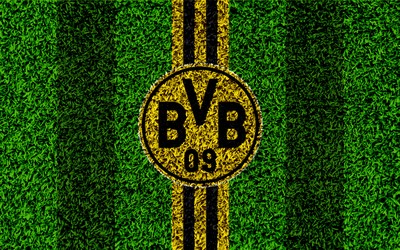 有球电竞独家-莱娅威廉森这天赋肉眼可见